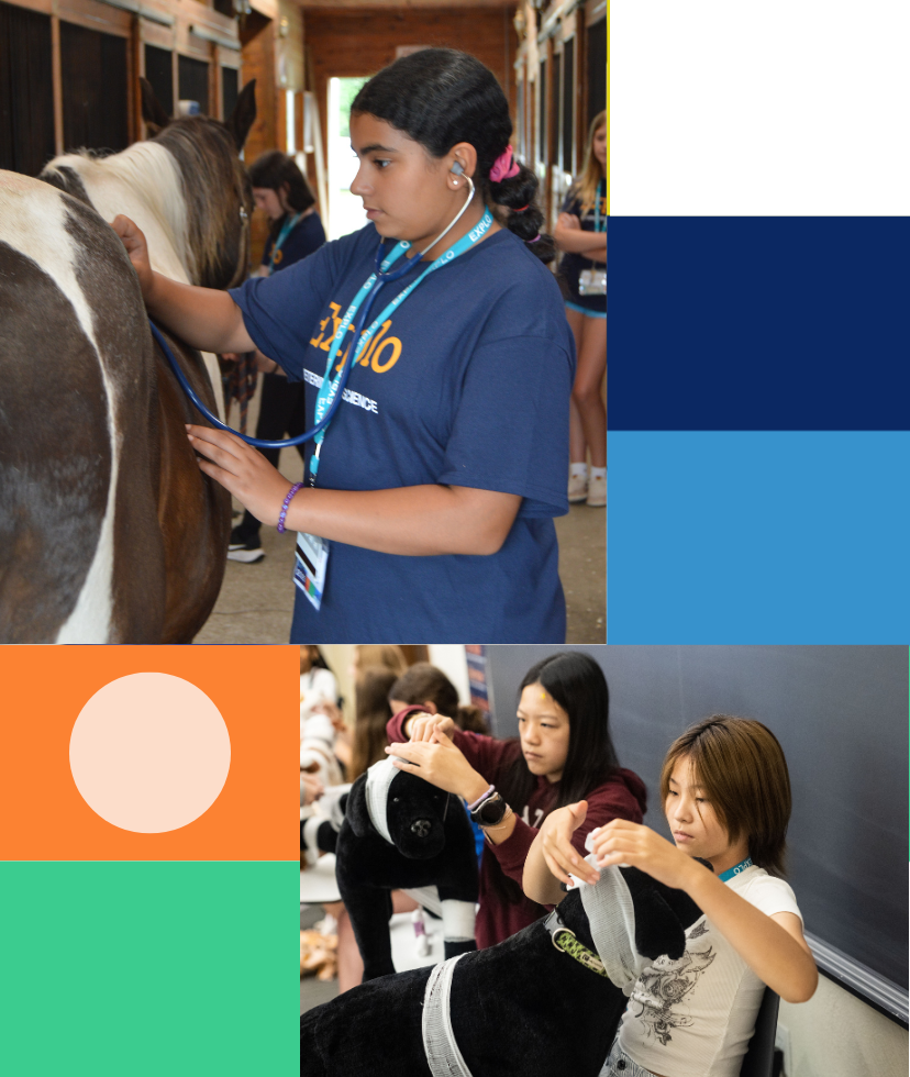Vet Science Program