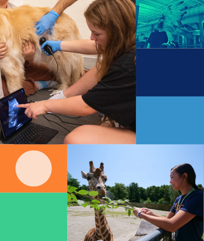 Vet Science Program